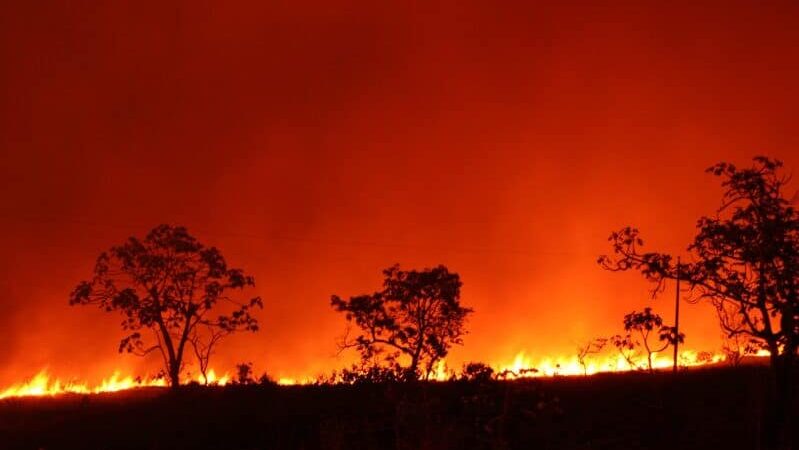 Bombeiros controlam incêndios no Pantanal de Mato Grosso após quatro dias de combate