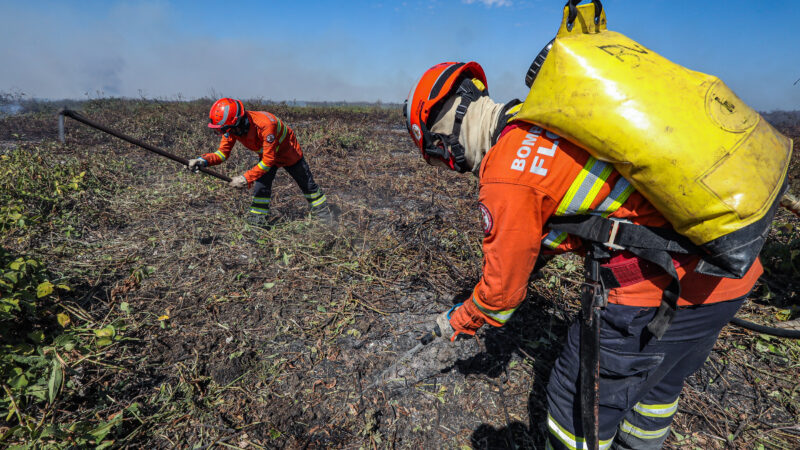 Corpo de Bombeiros extingue três incêndios florestais e combate outros 17 nesta quinta-feira (15)