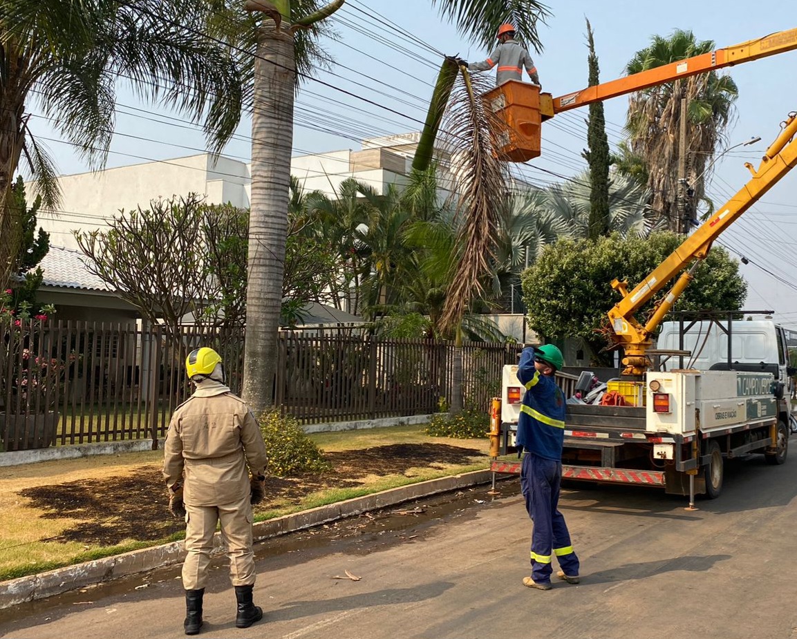 Bombeiros combatem incêndio em fios de energia