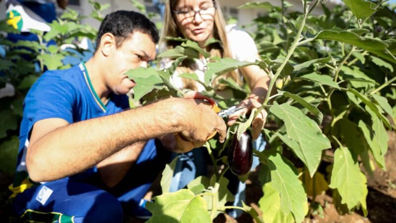 Projeto contempla 300 unidades estaduais em 2025; veja quais são