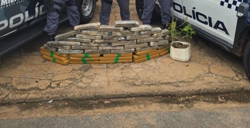 PM apreende 49 quilos de maconha avaliada em R$ 600 mil em Nova Xavantina